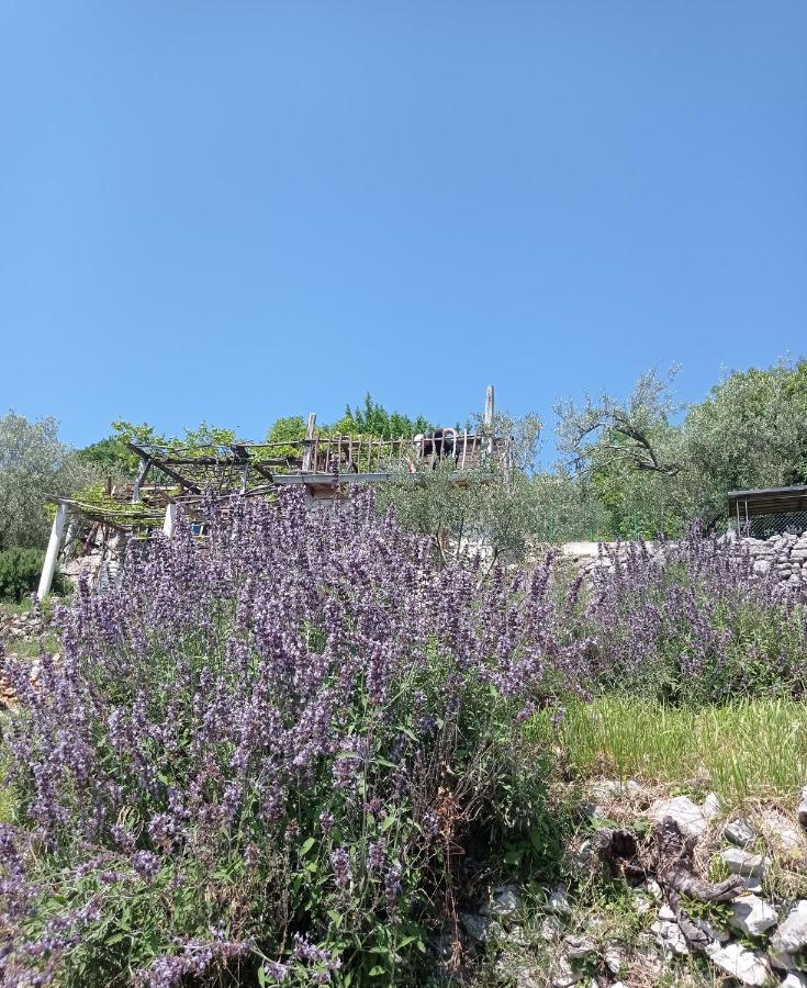 Вілла Casa Delle Olive Мощеницька Драга Екстер'єр фото
