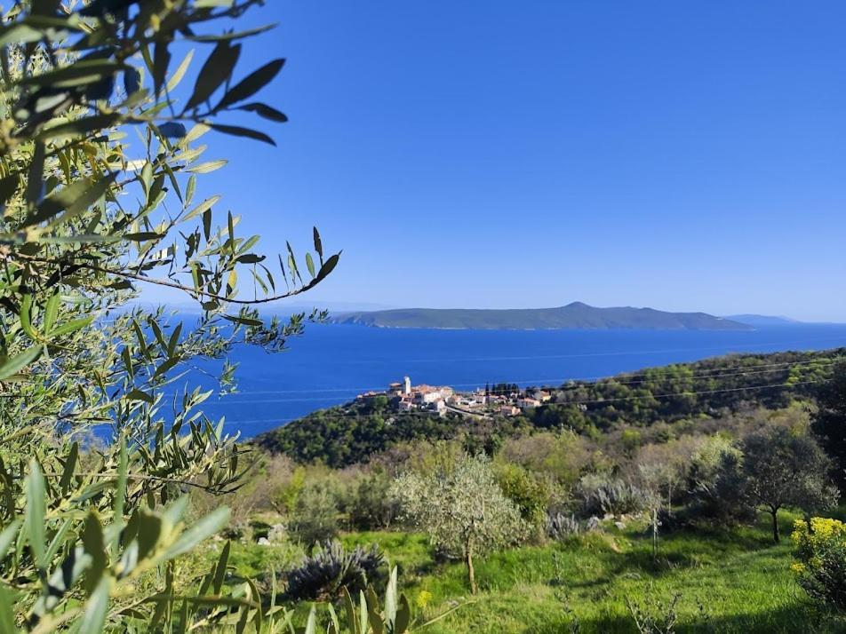 Вілла Casa Delle Olive Мощеницька Драга Екстер'єр фото